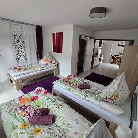 フォルヒテンベルクLa Casa Suciuアパートメント エクステリア 写真