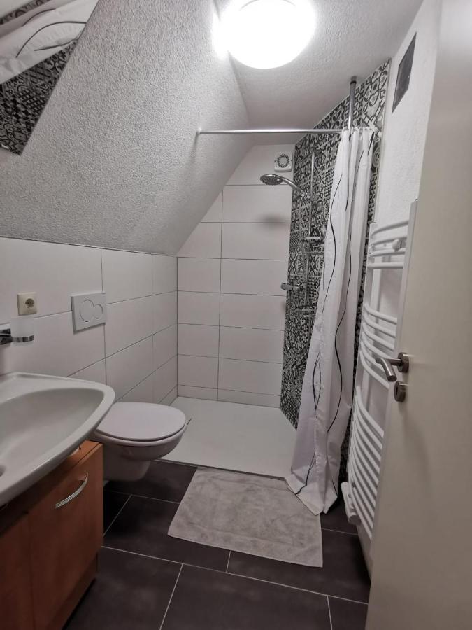 フォルヒテンベルクLa Casa Suciuアパートメント エクステリア 写真