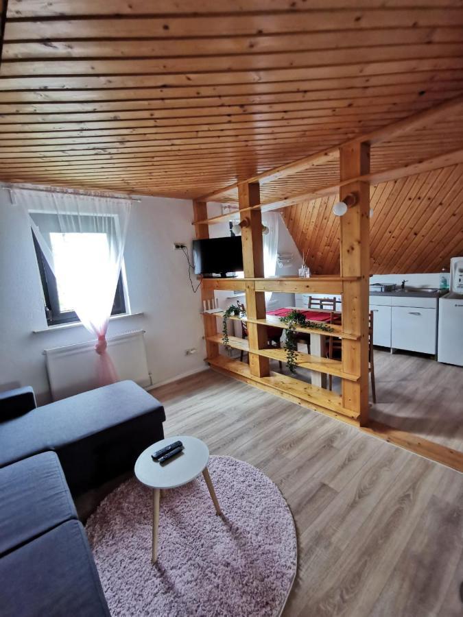 フォルヒテンベルクLa Casa Suciuアパートメント エクステリア 写真